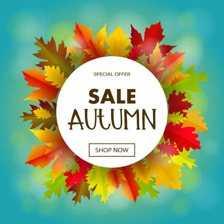 Sales banner with multicolor autumn leaves. Vector discount offer, fall poster background. Layout for discount labels and shopping.のイラスト素材