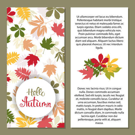 Background with multicolor autumn leaves. Vector illustration. Layout for discount labels and shopping.のイラスト素材