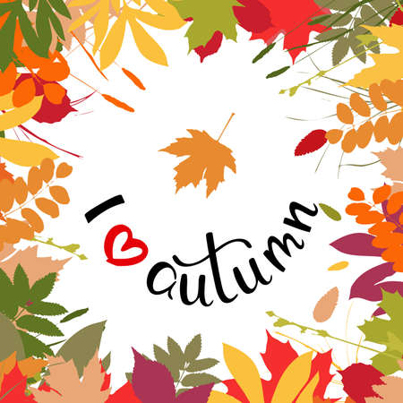 I love autumn background with multicolor leaves. Vector illustration. Layout for discount labels and shopping.のイラスト素材