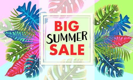 Tropical summer patternのイラスト素材