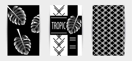 Trendy tropic pattern covers set. Design floral backgrounds for booklet, cards, invitation, brochure and promotion. Vector illustrationのイラスト素材