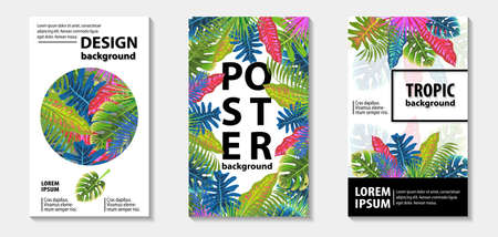 Trendy tropic pattern covers set. Design floral backgrounds for booklet, cards, invitation, brochure and promotion. Vector illustration.のイラスト素材