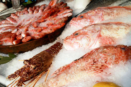 A Group of Fish On The Bench For Sale