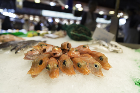 Fresh raw shrimps on display of crushed ice at fish market store shopの写真素材