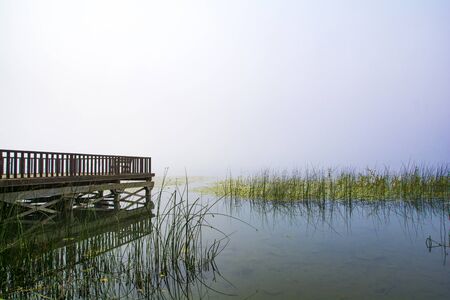 Foggy lake in the morningの写真素材