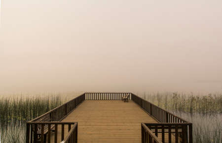 Foggy lakeの写真素材