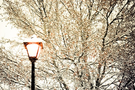 gorgeous snow grains and winter street lightの写真素材