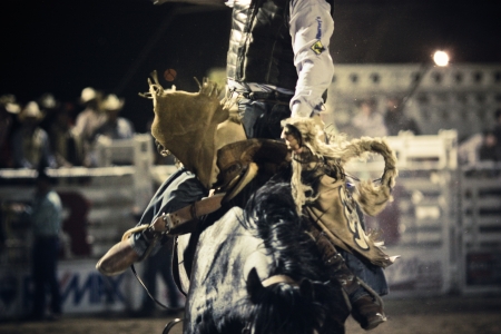 Rodeoのeditorial素材