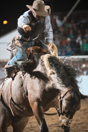 Rodeoのeditorial素材