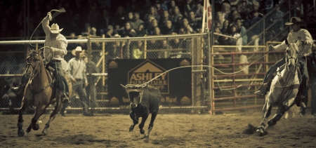 IPE 2012 Armstrong Dodge Day Rodeo 1 9 12のeditorial素材