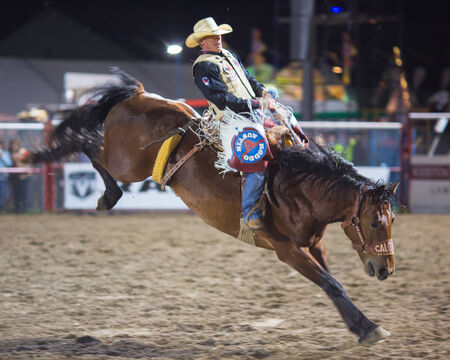 Rodeo competition in Armstrong, British Columbia, Canadaのeditorial素材