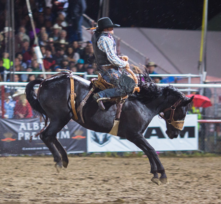 Rodeo competition in Armstrong, British Columbia, Canadaのeditorial素材