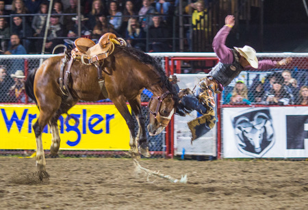 Rodeo competition in Armstrong, British Columbia, Canadaのeditorial素材