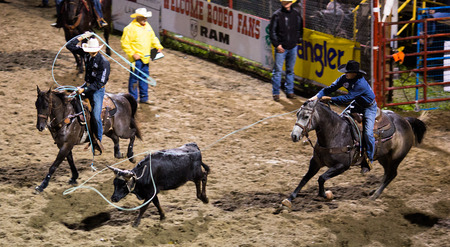 Rodeo competition in Armstrong, British Columbia, Canadaのeditorial素材