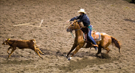 Rodeo competition in Armstrong, British Columbia, Canadaのeditorial素材