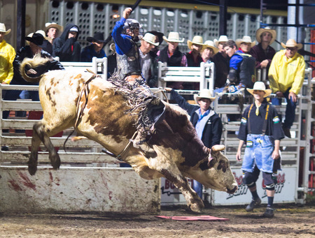 Rodeo competition in Armstrong, British Columbia, Canadaのeditorial素材