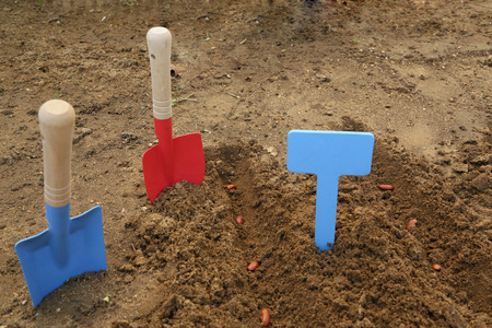 children gardening tools set の写真素材