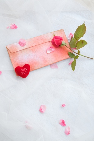 Valentines Day backgroundの写真素材