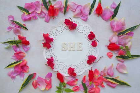 Flowers composition with the word \"SHE\" - background.の写真素材