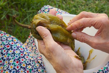 The woman is peeling grilled green sweet roasting pepperの写真素材