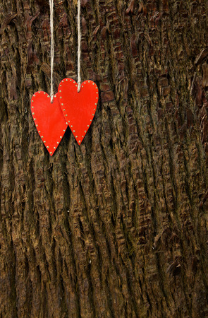Two handmade hearts hanging at a tree trunkの写真素材