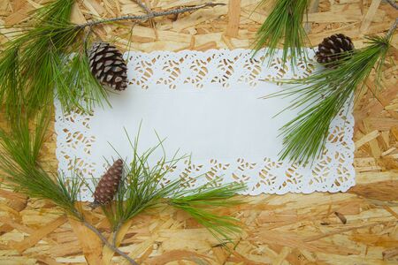 Floristic composition of pine tree branches and conifer cones- postcard. Free space for a text.