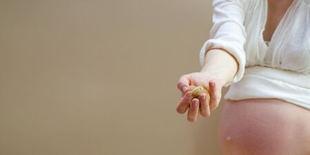Nuts in the hand of pregnant womanの写真素材