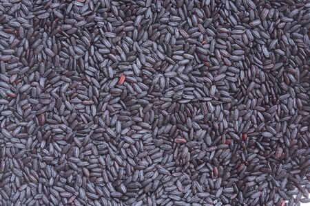 Wild rice grains. Closeup.Backgroundの写真素材