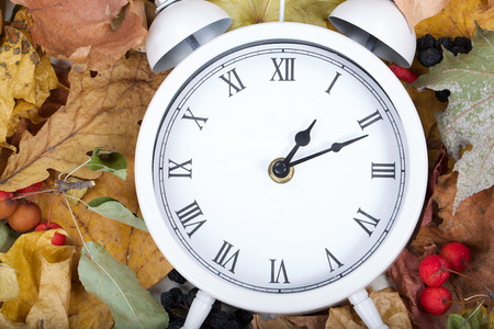 White vintage clock on dried leaves.
