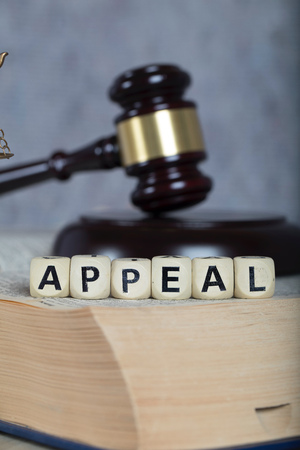 Word APPEAL composed of wooden letters. Statue of Themis and judge's gavel  in the background