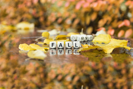 Word FALL is composed of wooden letters. Closeupの写真素材