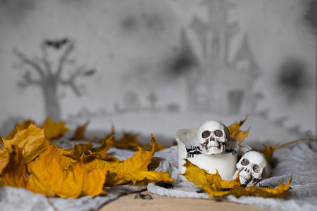 Skull on an old used thick candle. Scary Halloween background. Closeupの写真素材