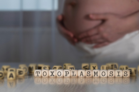Word TOXOPLASMOSIS composed of wooden letters. Pregnant woman in the backgroundの写真素材
