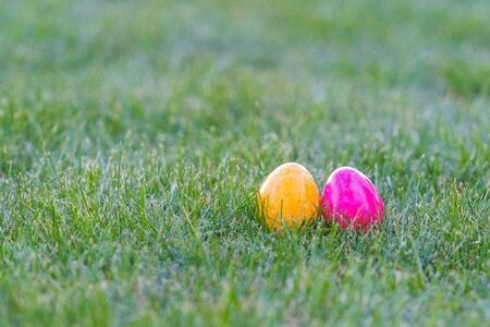 Colorful easter eggs lying in the backyard grass. with copyspace. isolated