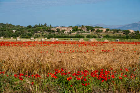 Mallorca, Balearic Islands, Spainのeditorial素材