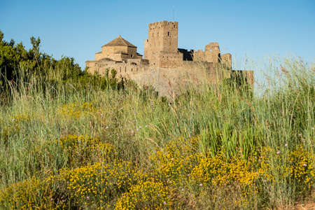 Crop fields near Loarre, Huesca, Spainのeditorial素材