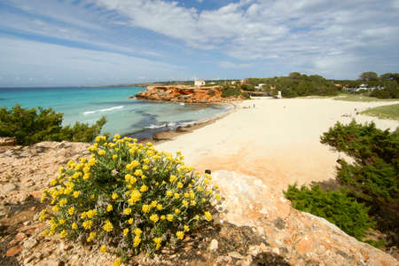 Cala Saona, Formentera, Pitiusas Islands, Balearic Islands, Spain.のeditorial素材