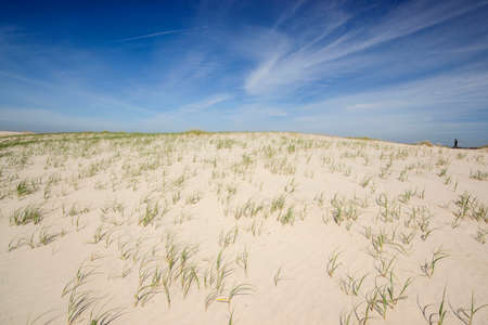 dunes of Costa Nova, Beira Litoral, Portugal, europeのeditorial素材