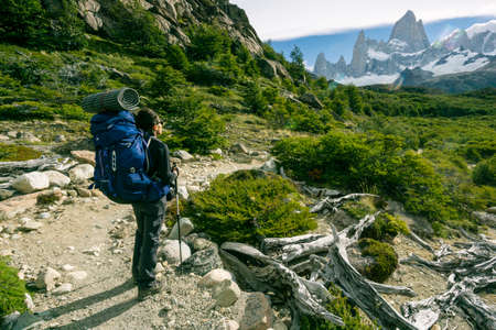 trail to Poincenot camp, El Chalten, Los Glaciares national park, republica Argentina, Patagonia, southern cone, South Americaのeditorial素材