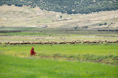 Agelman Ou Haoul, Ifran National Park, Middle Atlas, Morocco, Africa