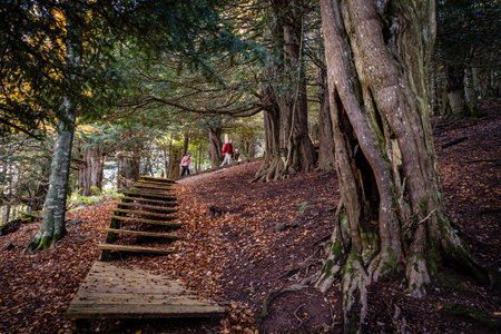 Tejeda de Tosande. Fuentes Carrionas Natural Park, Fuente Cobre- Palentina Mountain. Palencia, Spain