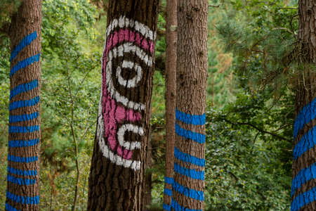 Oma forest, Head with minimal blues, 1984, Agustin Ibarrola, Kortezubi, Vizcaya, Euzkadi, Spainのeditorial素材