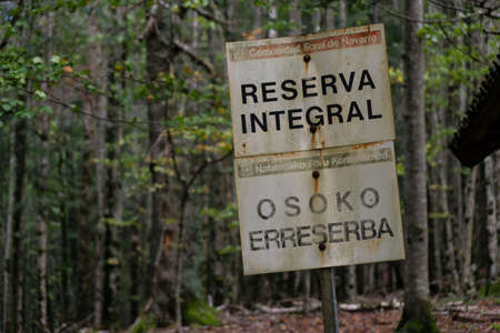 Lizardoia integral reserve, Irati jungle, Navarra community, Spainのeditorial素材