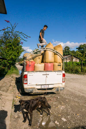 Pickup truck loaded with sacks of cardamom, Lancetillo, La Parroquia, Reyna area, Quiche, Guatemala, Central Americaのeditorial素材