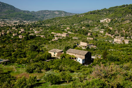 orchards of the valley of Soller, Mallorca, Balearic islands, Spainの写真素材