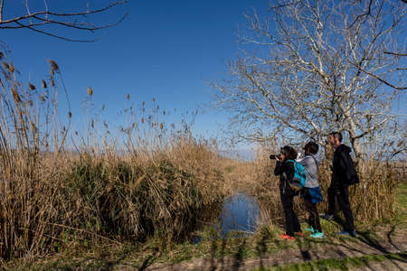 albufera de mallorca, Mallorca, Balearic Islands, Spainのeditorial素材