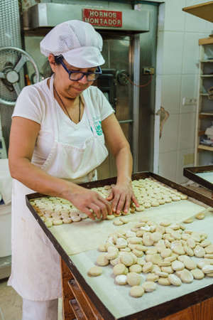 kneading organic oil cookies, Sa Teulera farm, Petra, Mallorca, Balearic Islands, Spainのeditorial素材