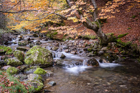 CiÃ±era de GordÃ³n, Leon, Spainの写真素材