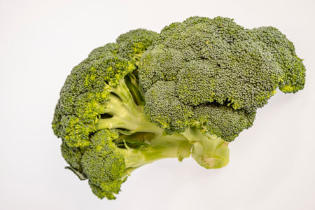 broccoli sprout, Brassica oleracea var. italicaの写真素材