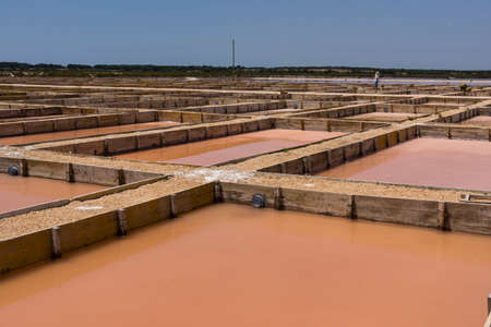 Flor de Sal del Trenc, guided tour, Salobrar de Campos, Campos del Puerto, Mallorca, balearic islands, spain, europeのeditorial素材